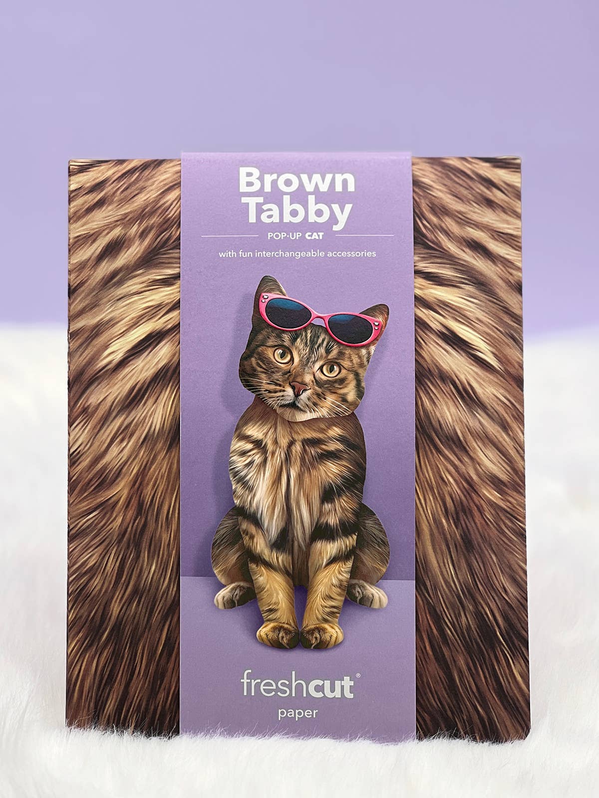 Brown Tabby (6 Pop-up Greeting Cards)
