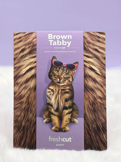 Brown Tabby (6 Pop-up Greeting Cards)
