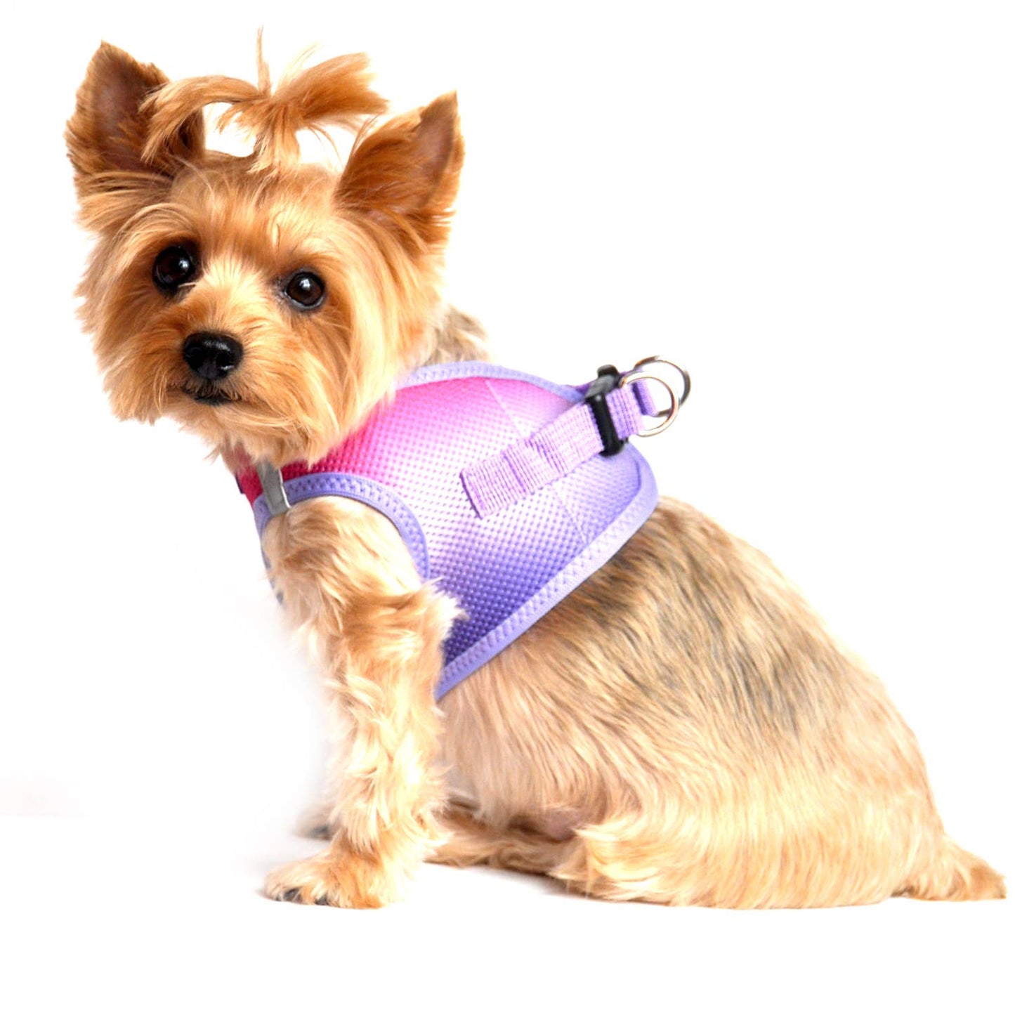 American River Ombre Dog Harness - Raspberry Sundae