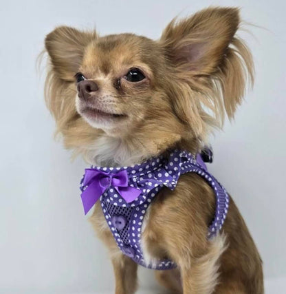 American River Polka Dot Dog Harness - Paisley Purple