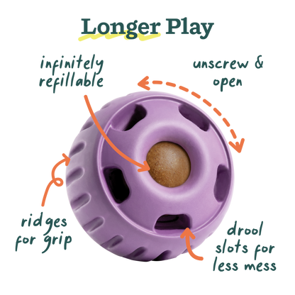 The Pupsicle - Lavender