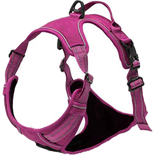 Venture Paw Dog Harness - Wild Raspberry