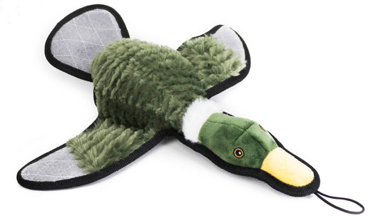Ruffian Game Bird Duck