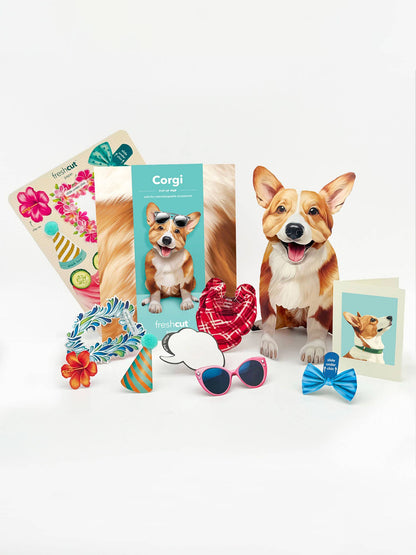 Corgi (6 Pop-up Greeting Cards)