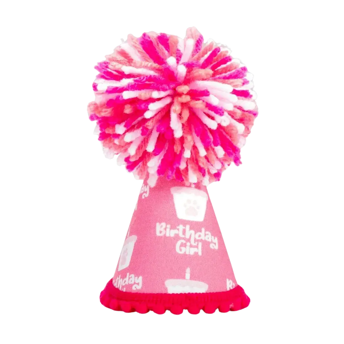 Barkday Girl Hat