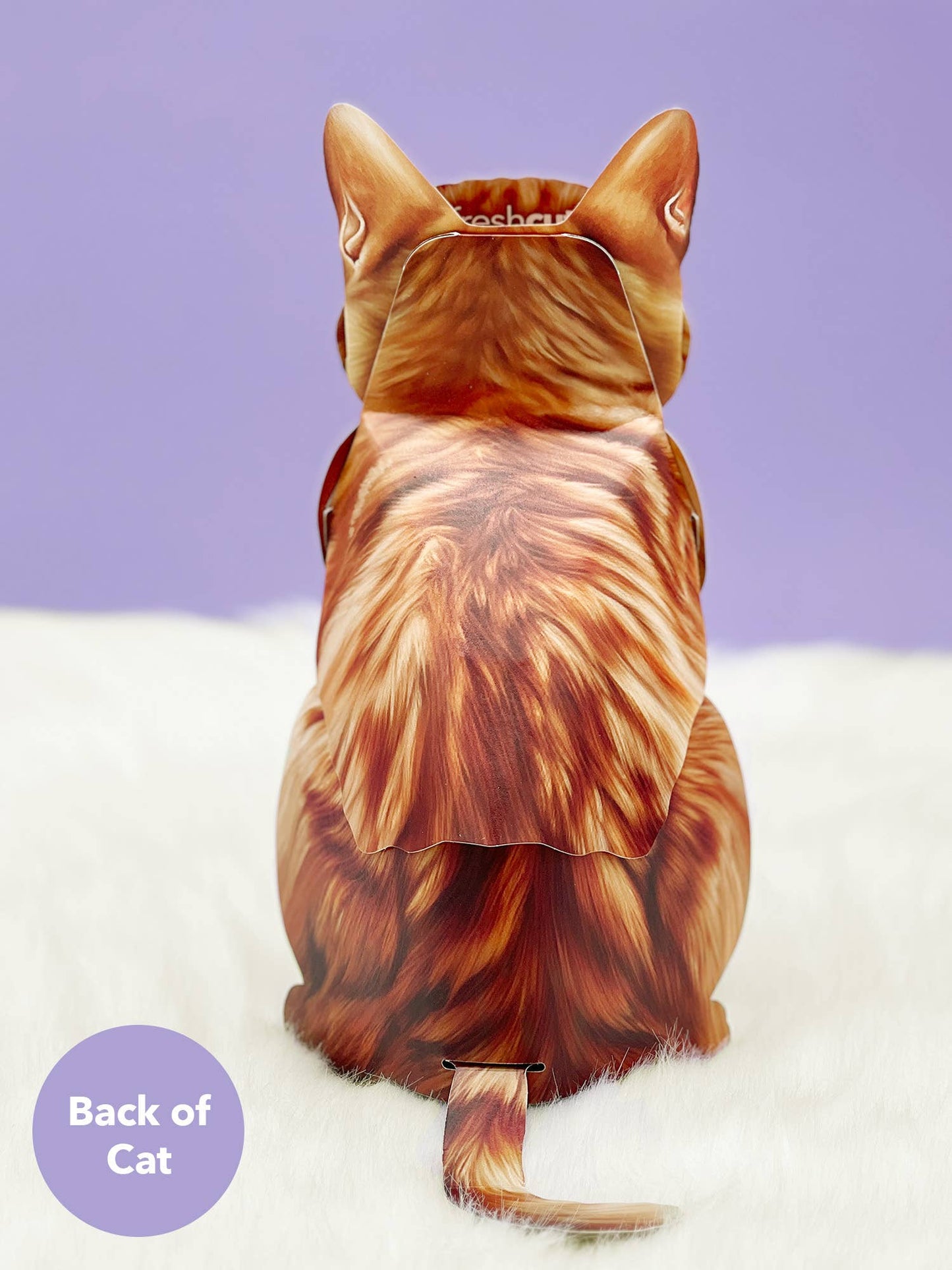Orange Tabby (6 Pop-up Greeting Cards)