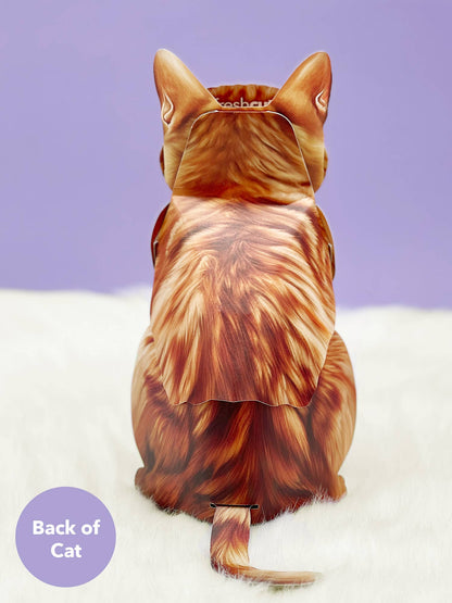 Orange Tabby (6 Pop-up Greeting Cards)