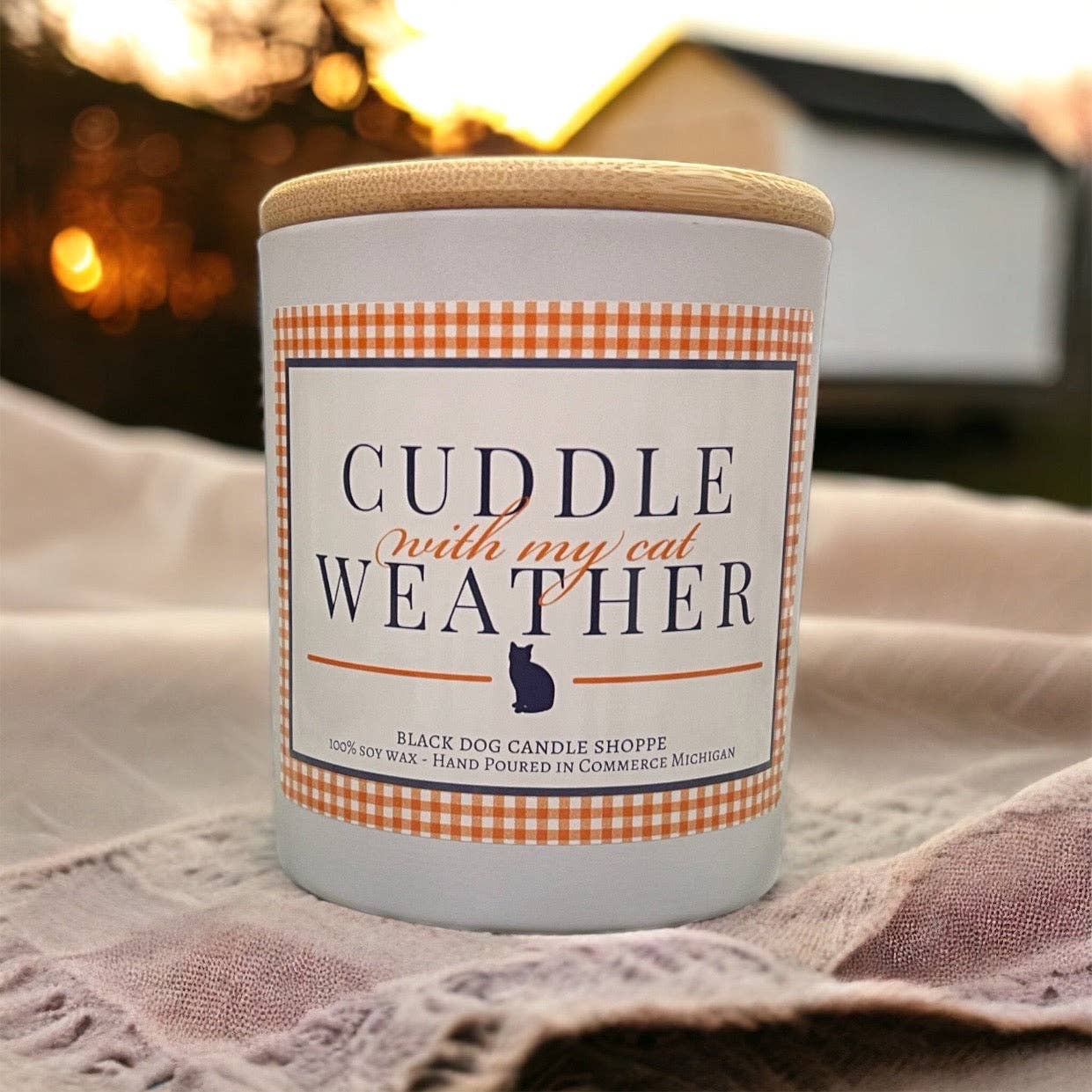 Cuddle with my Cat Weather