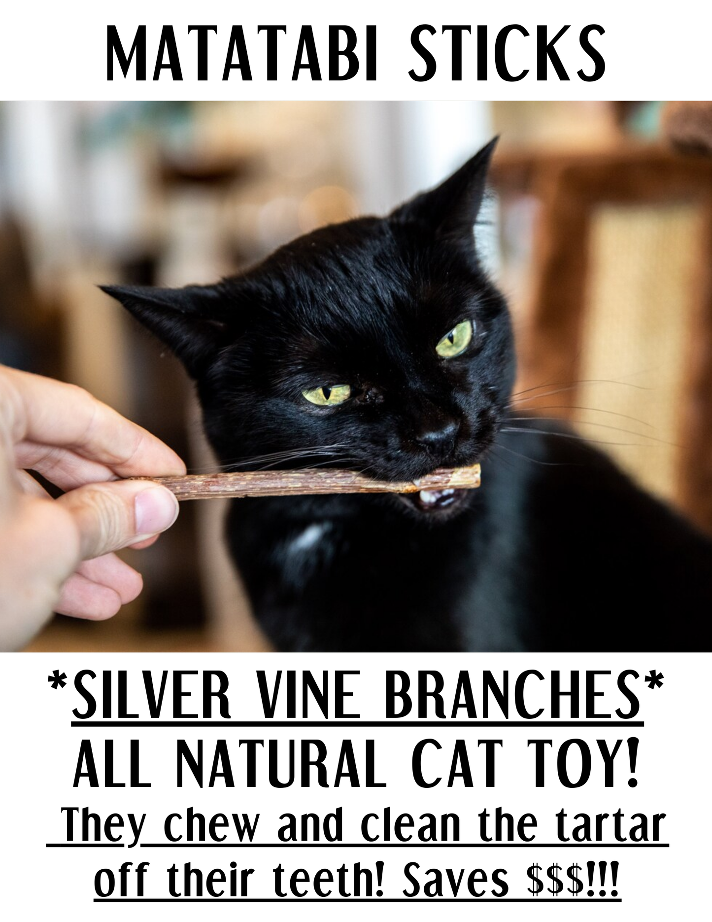 Matatabi Sticks | Cat Chew Toy | NEW! Printables!