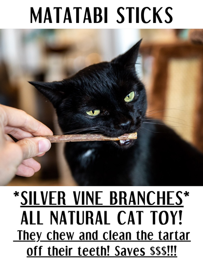 Matatabi Sticks | Cat Chew Toy | NEW! Printables!