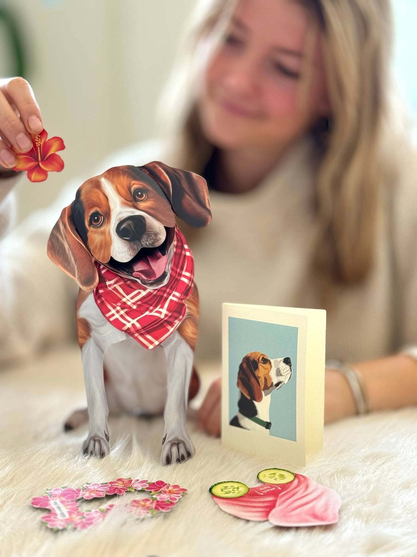 Beagle (6 Pop-up Greeting Cards)