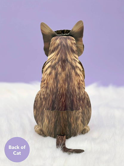 Brown Tabby (6 Pop-up Greeting Cards)