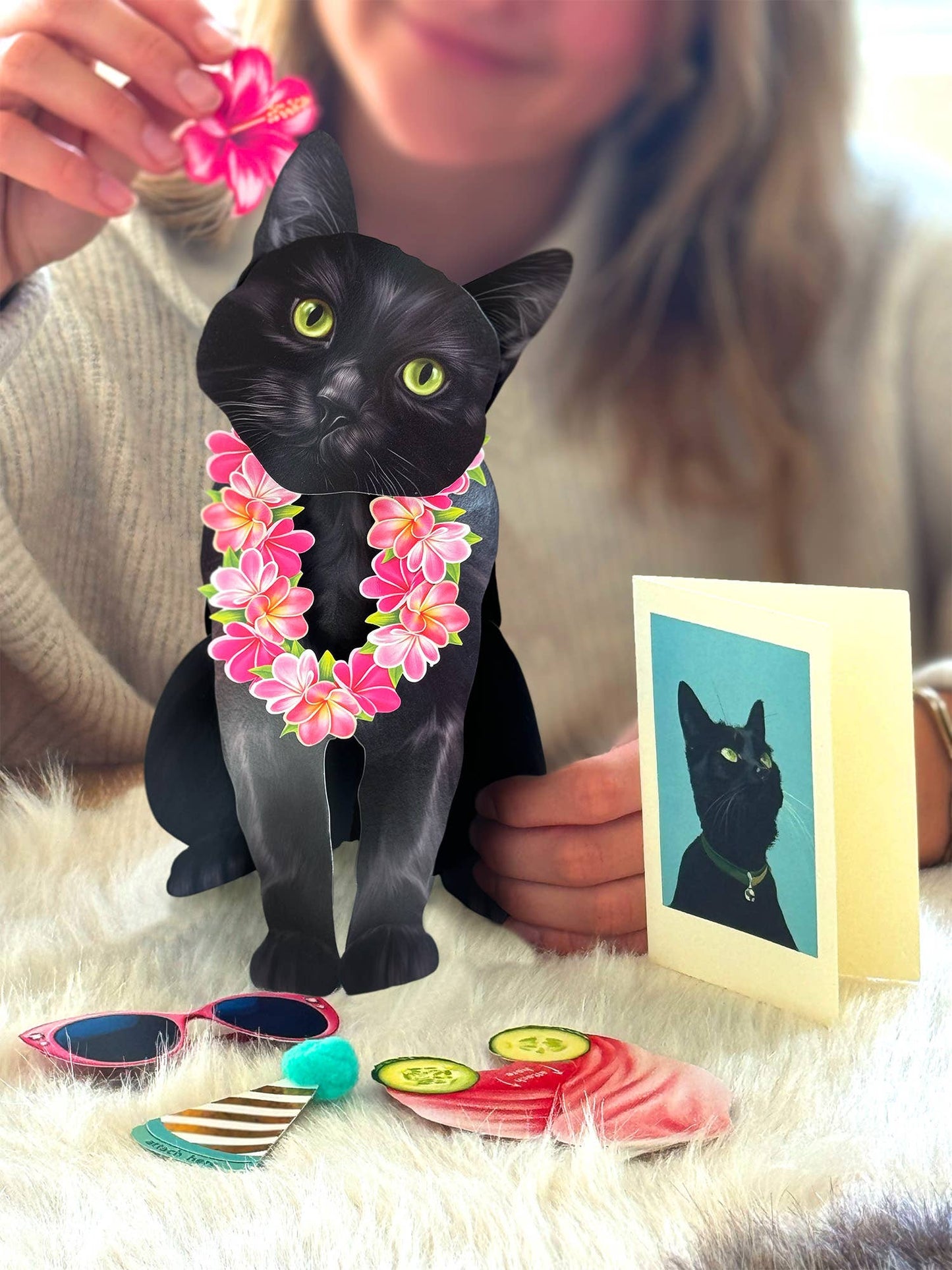 Black Cat (6 Pop-up Greeting Cards)