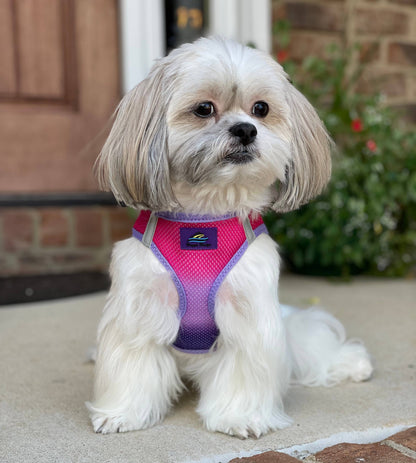 American River Ombre Dog Harness - Raspberry Sundae