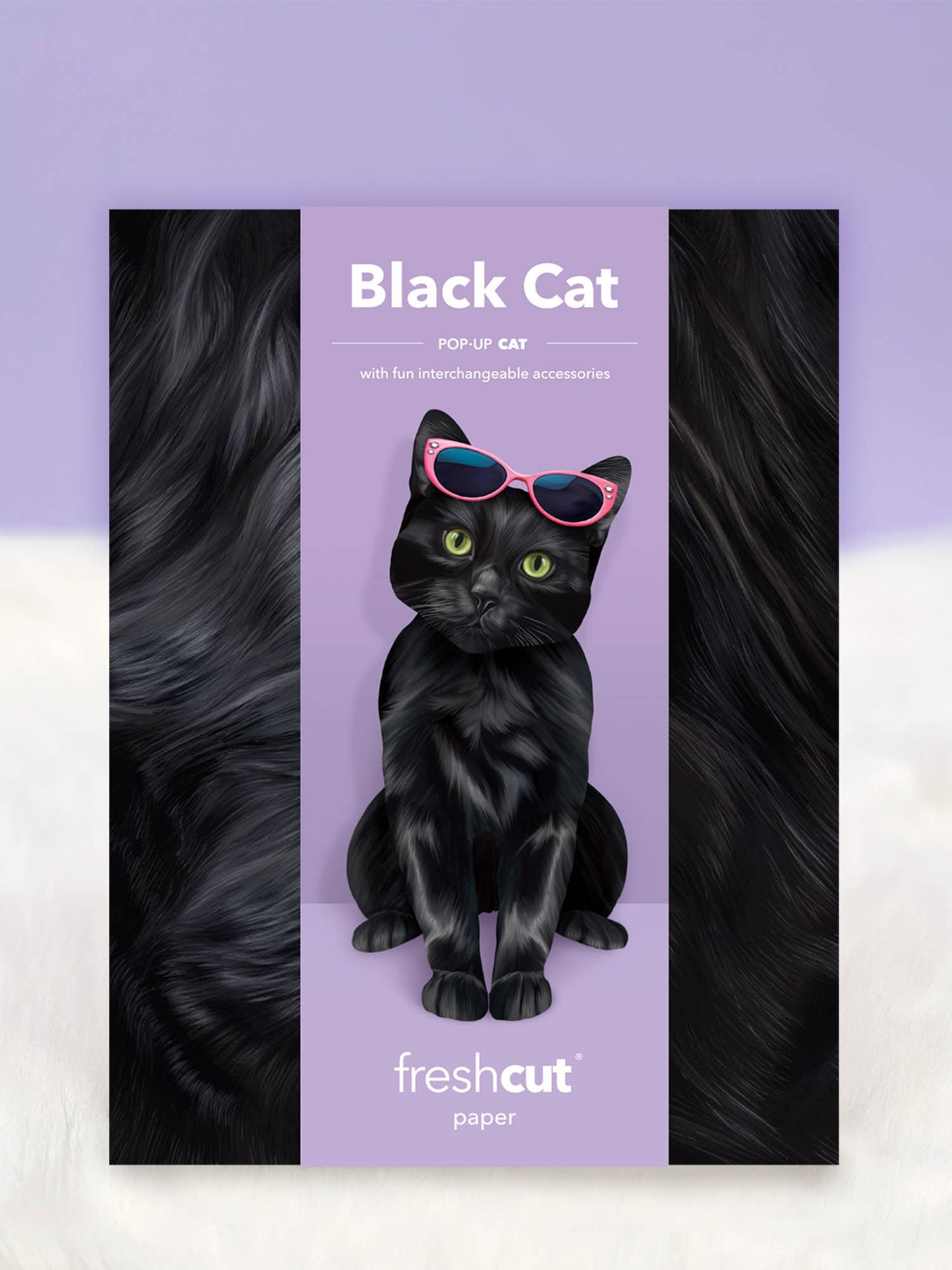 Black Cat (6 Pop-up Greeting Cards)