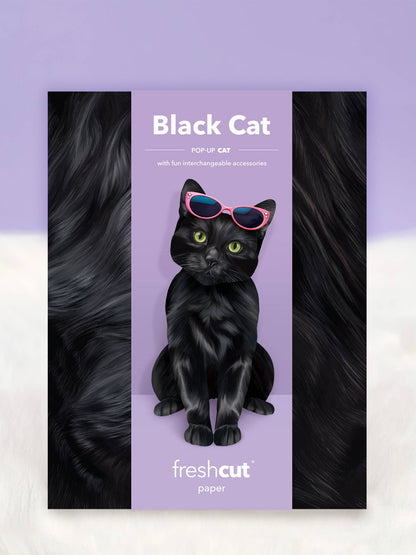 Black Cat (6 Pop-up Greeting Cards)