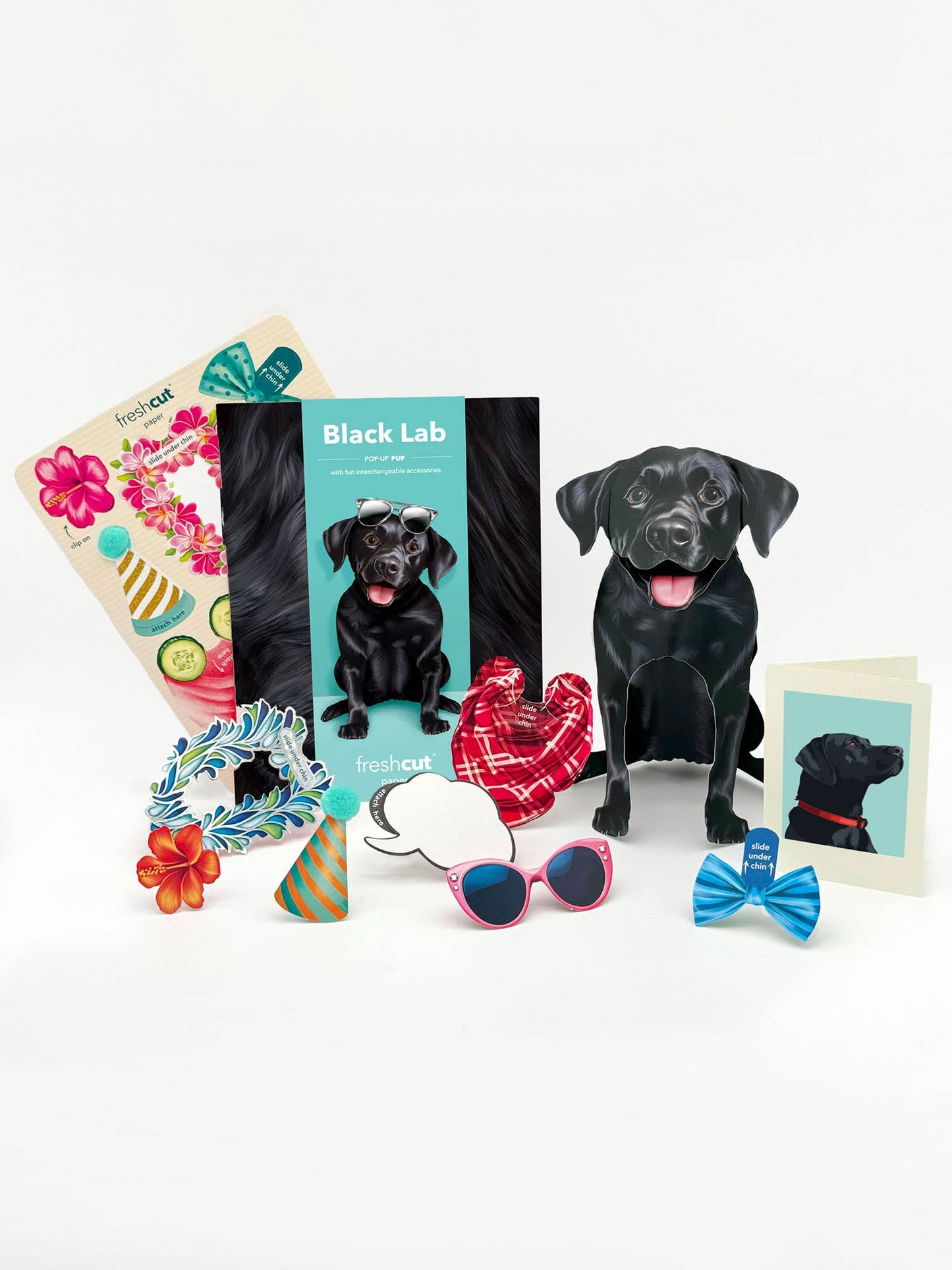 Black Lab (6 Pop-up Greeting Cards)