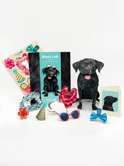 Black Lab (6 Pop-up Greeting Cards)