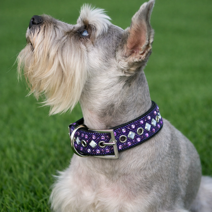Purple Rhinestone Dog Collar