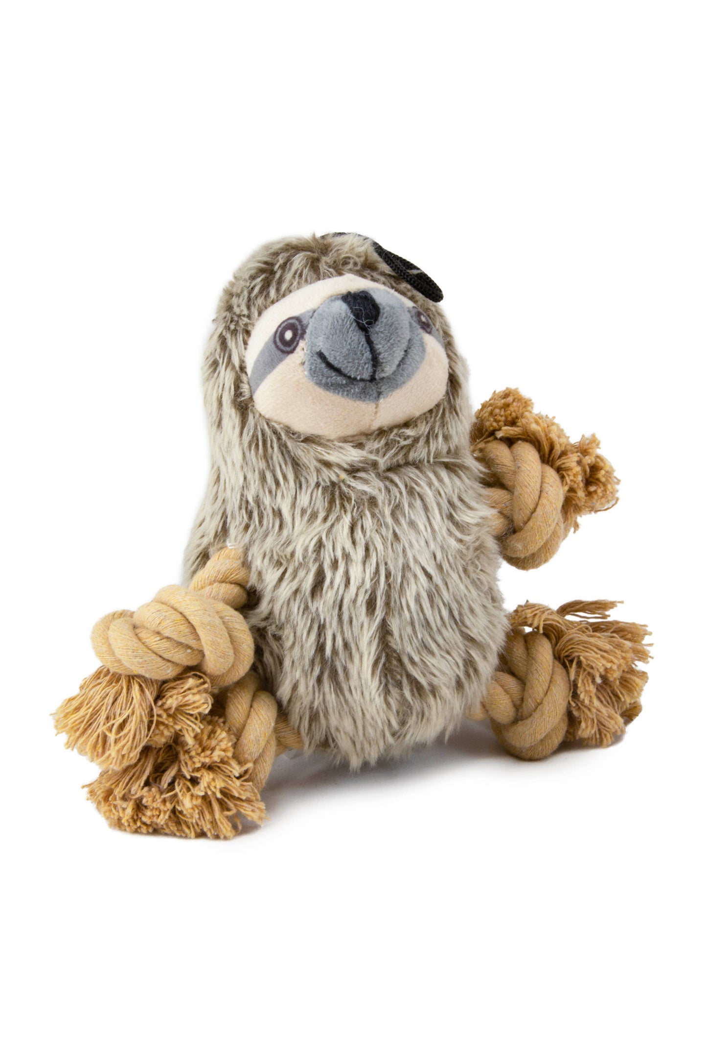 Roper Prairie Sloth