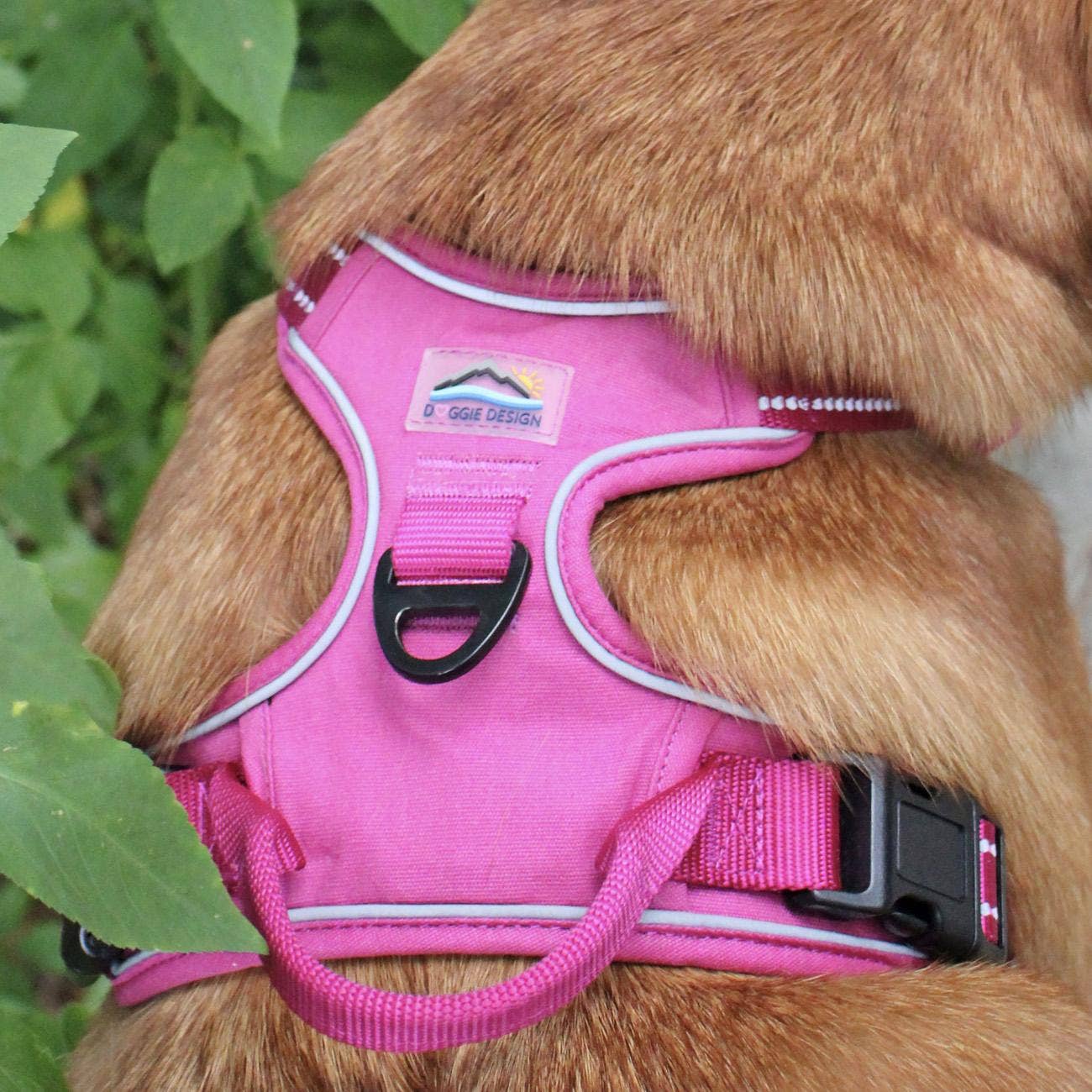 Venture Paw Dog Harness - Wild Raspberry