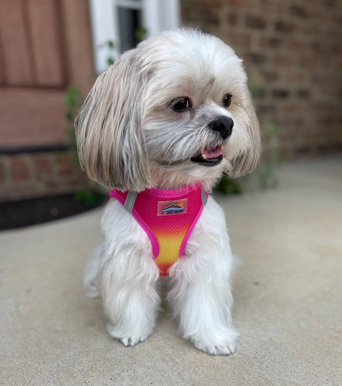 American River Ombre Dog Harness - Raspberry Pink & Orange