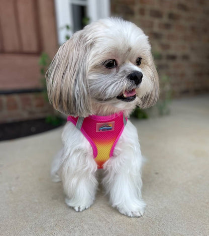 American River Ombre Dog Harness - Raspberry Pink & Orange