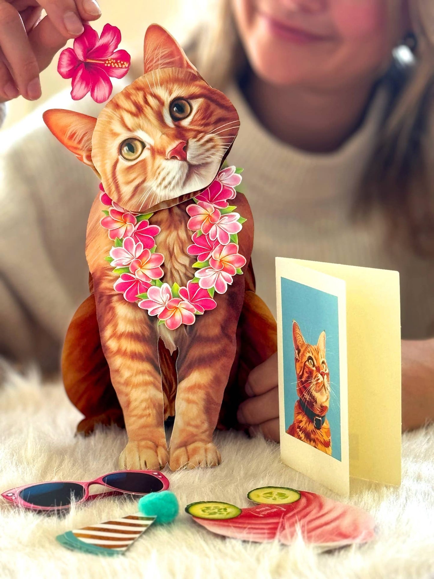 Orange Tabby (6 Pop-up Greeting Cards)