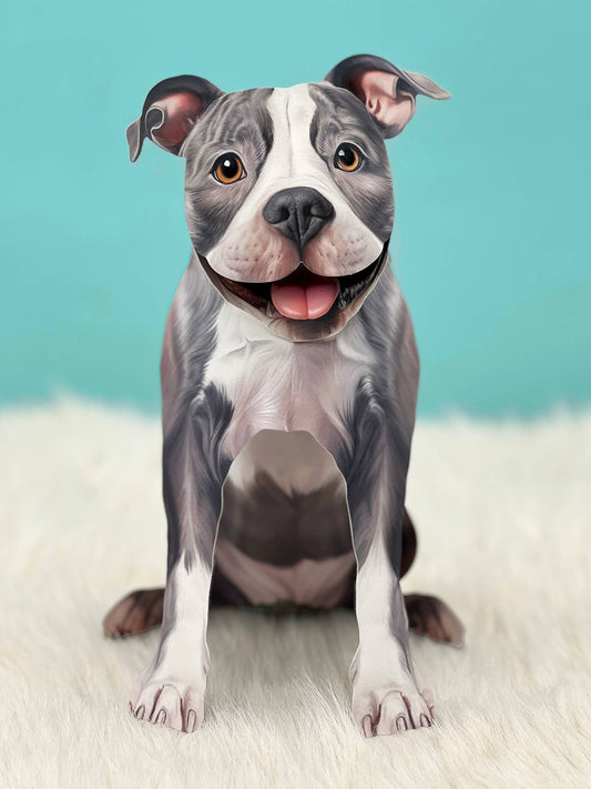 Gray Pitbull (6 Pop-up Greeting Cards)