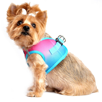 American River Ombre Dog Harness - Sugar Plum