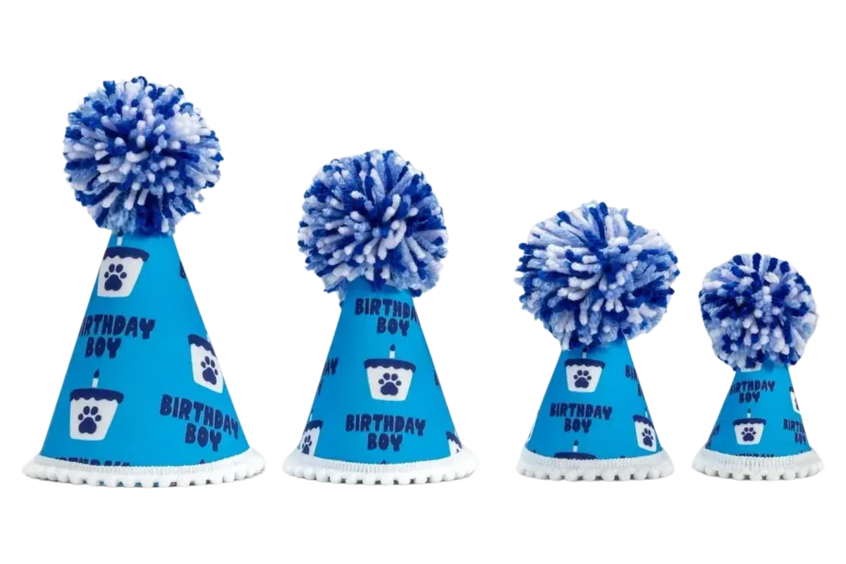 Barkday Boy Hat