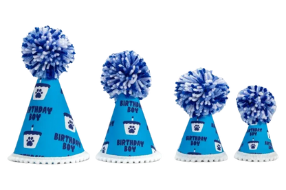 Barkday Boy Hat