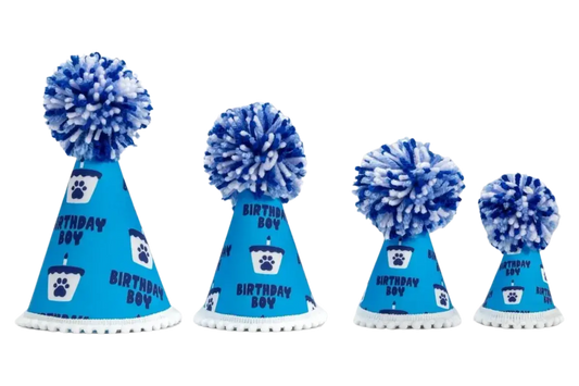 Barkday Boy Hat