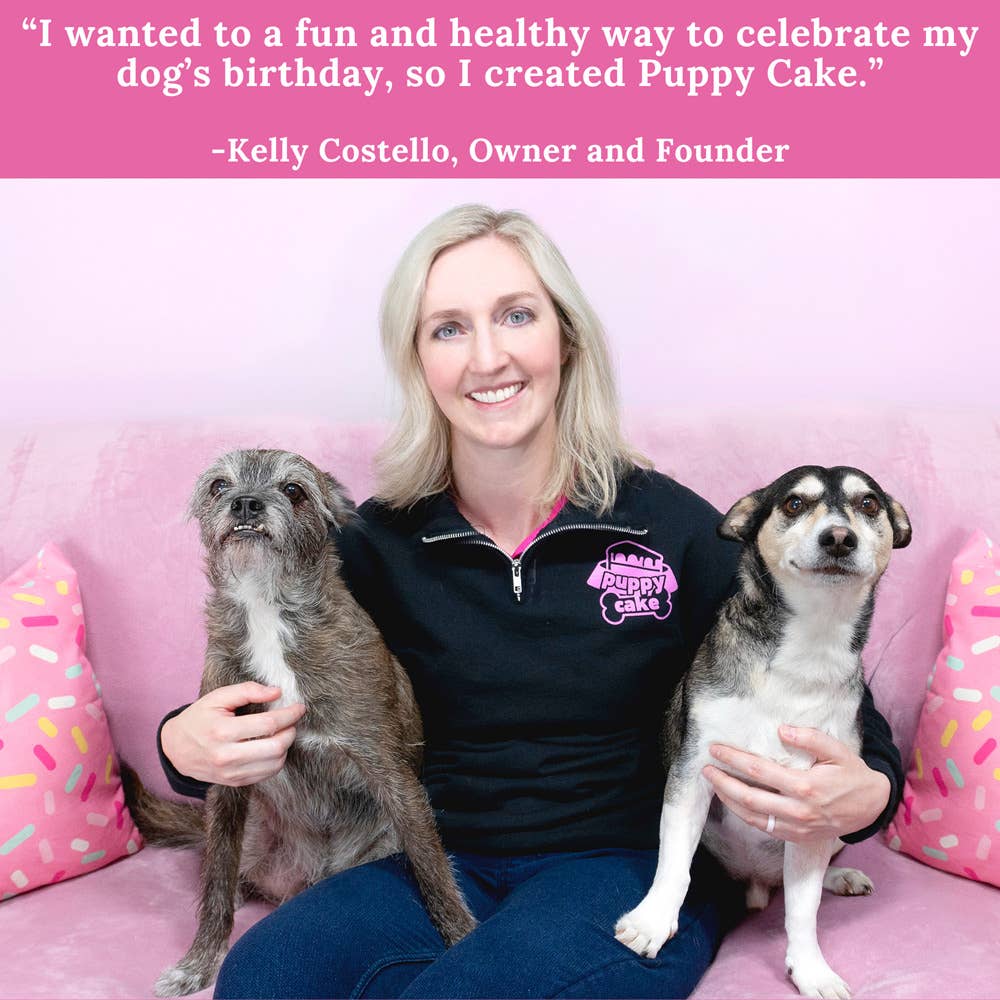 Hoggin' Dogs No Sugar Added Ice Cream Mix for Dogs