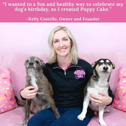 Hoggin' Dogs No Sugar Added Ice Cream Mix for Dogs