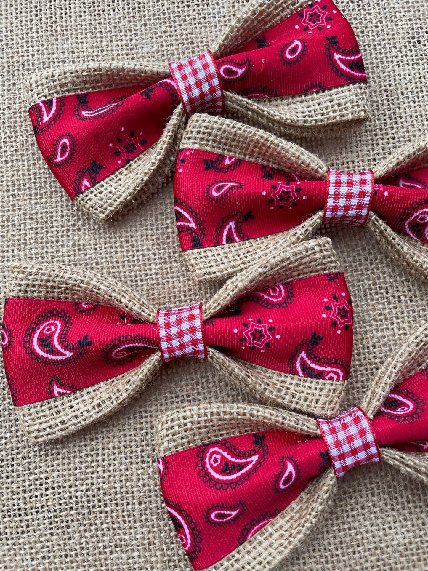 SALE *Red Bandanna