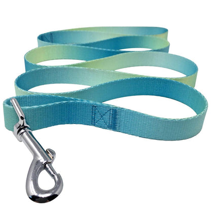 American River Ombre Leash - Aruba Blue