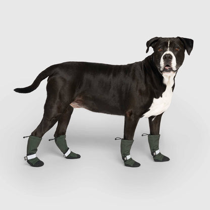 Soft Shield Boots- Dog Boots
