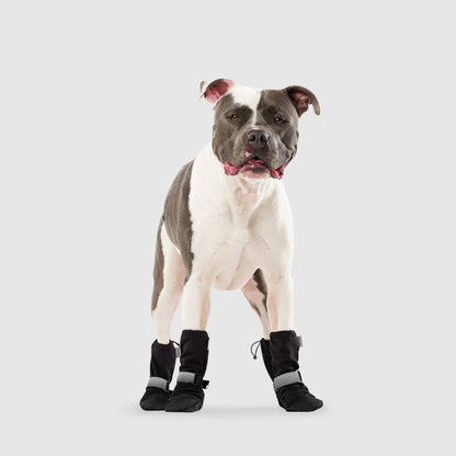 Soft Shield Boots- Dog Boots