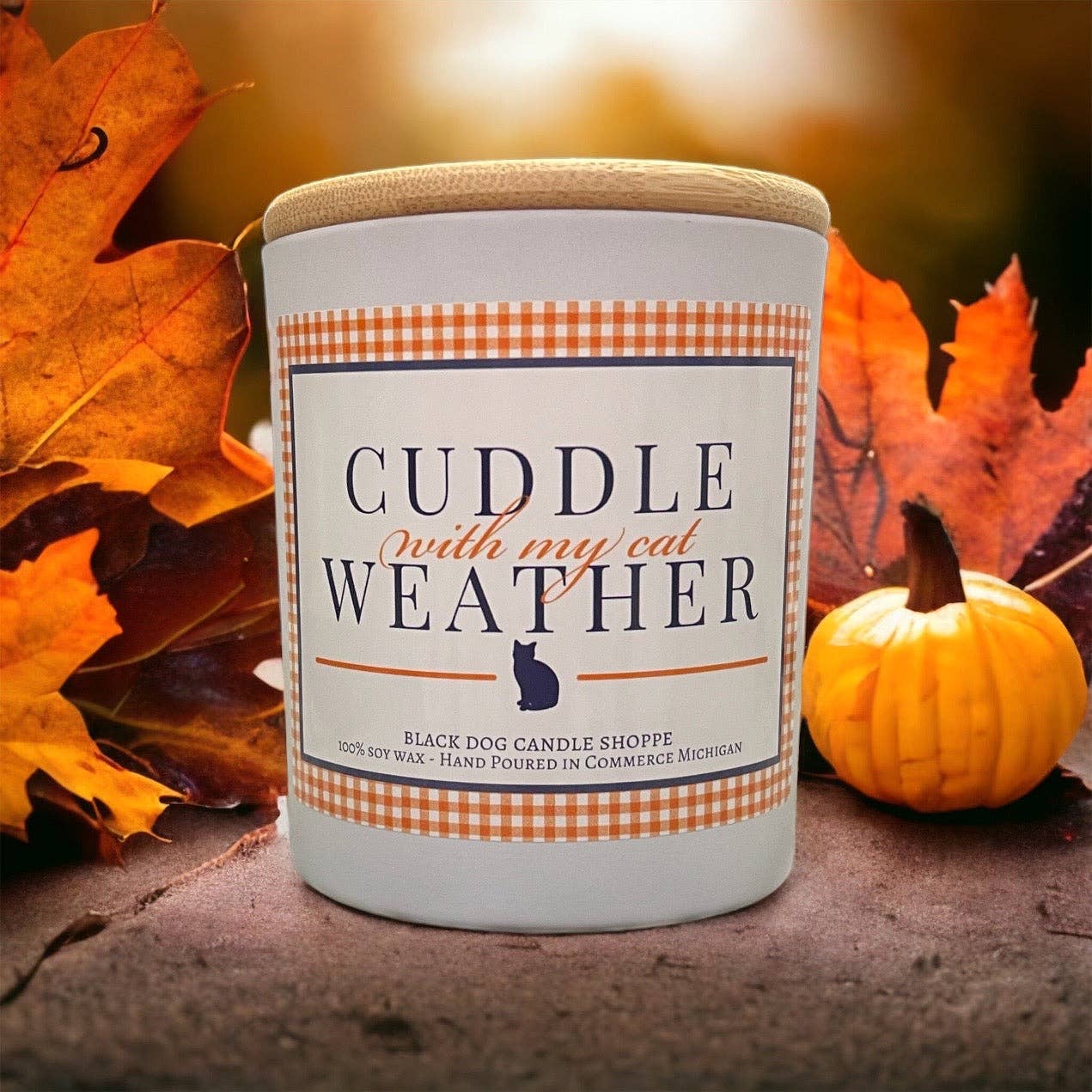 Cuddle with my Cat Weather