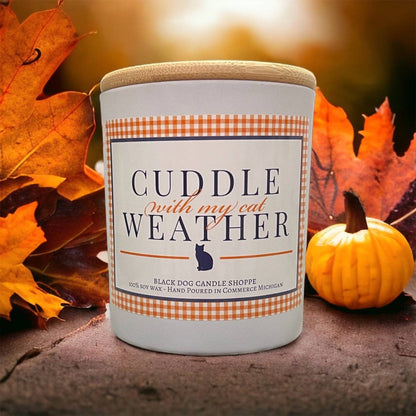 Cuddle with my Cat Weather