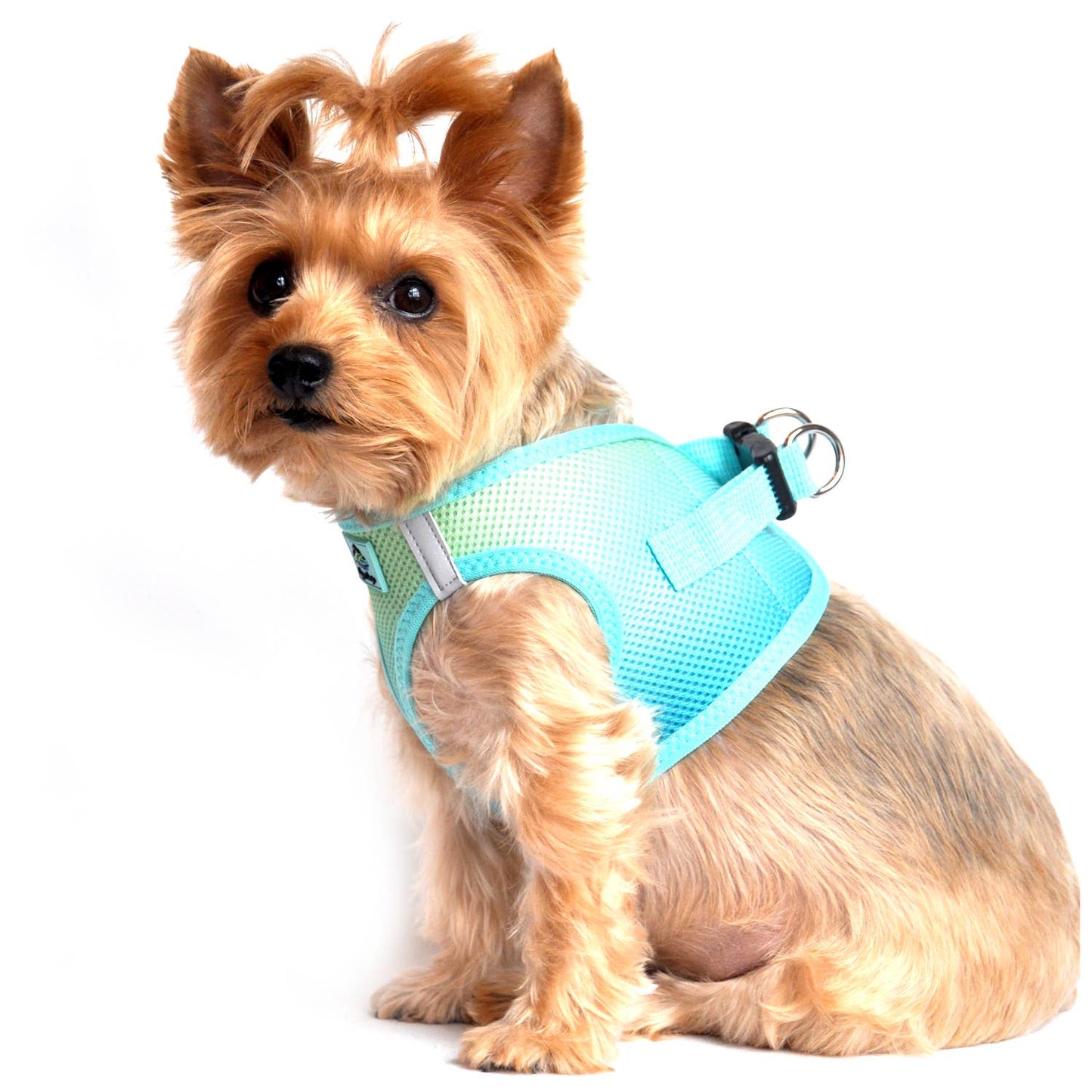 American River Ombre Dog Harness - Aruba Blue