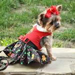 Gingerbread Holiday Dress with matching leash by Doggie Design
